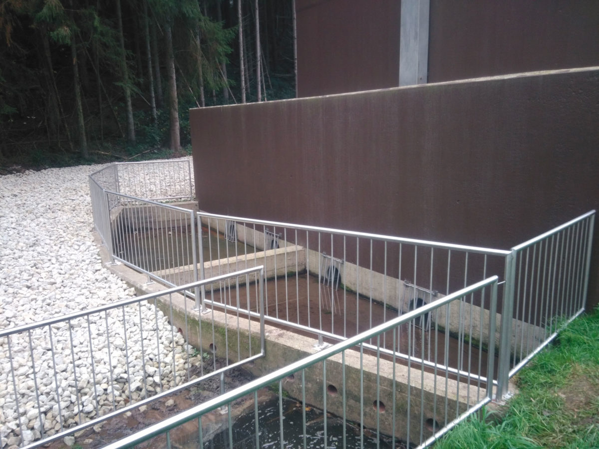 Vermessung von Hochwasser-Rückhaltebecken in Trier